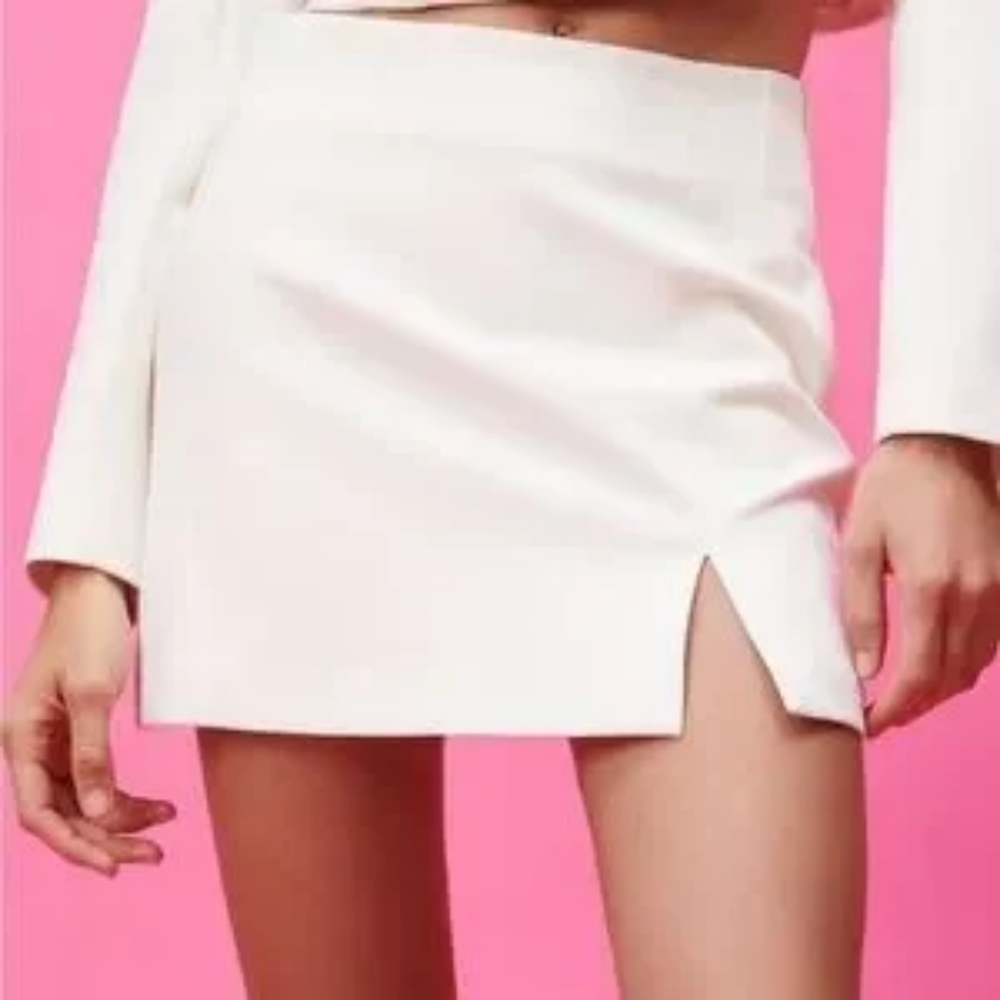 Zara Mini Skirt